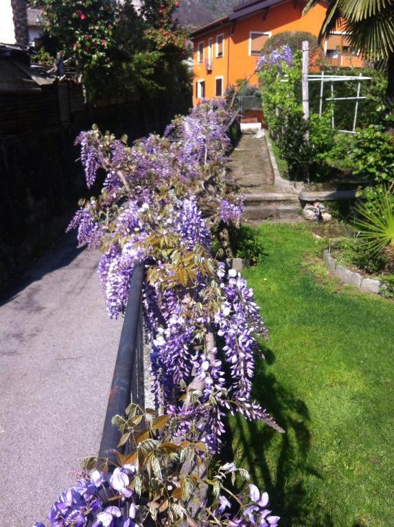 B&B Villa Dei Pini Канобио Екстериор снимка