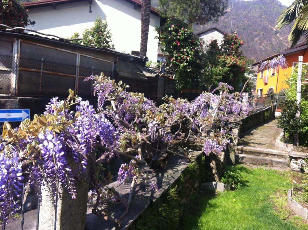 B&B Villa Dei Pini Канобио Екстериор снимка