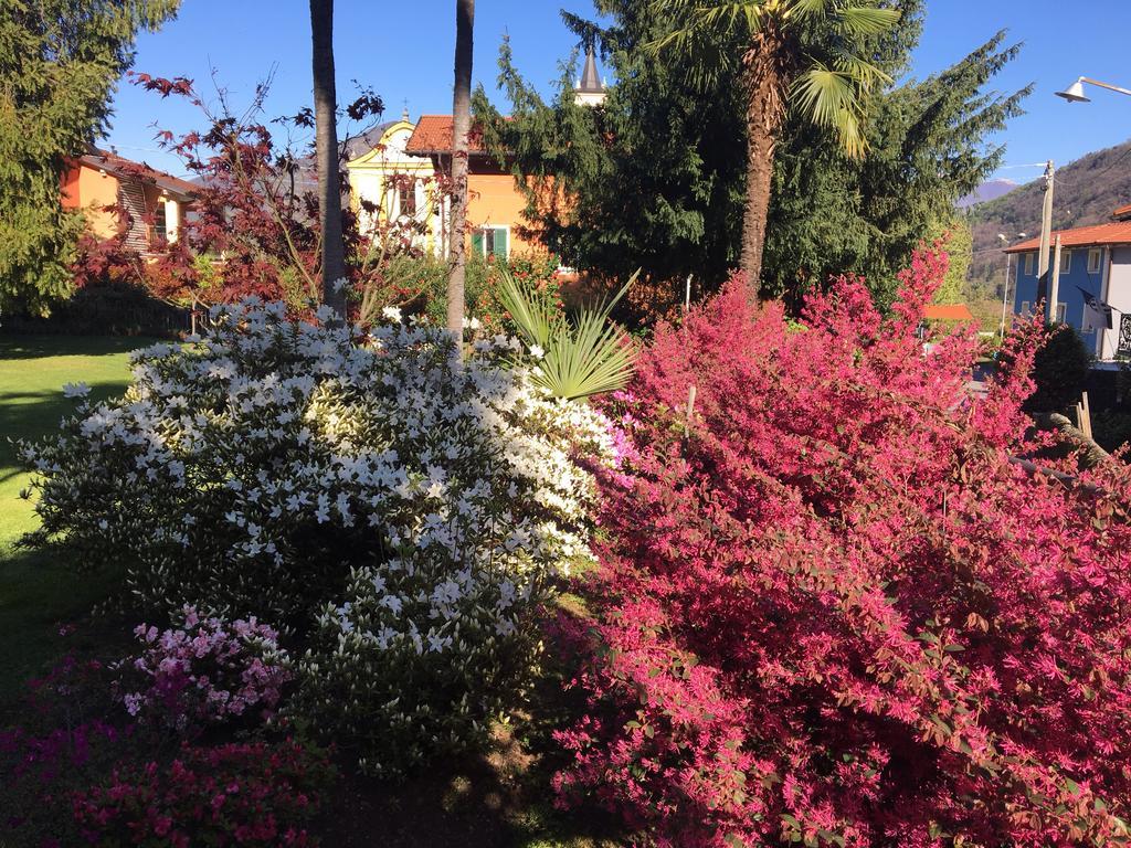 B&B Villa Dei Pini Канобио Екстериор снимка