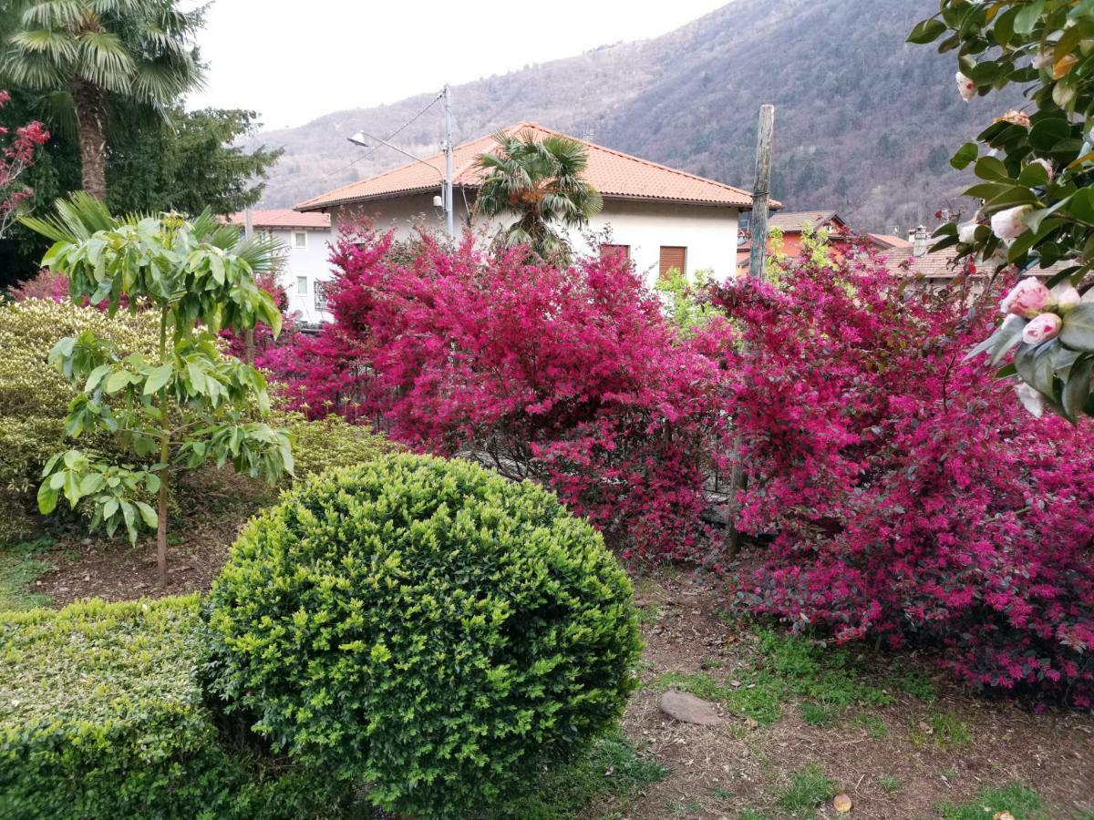B&B Villa Dei Pini Канобио Екстериор снимка